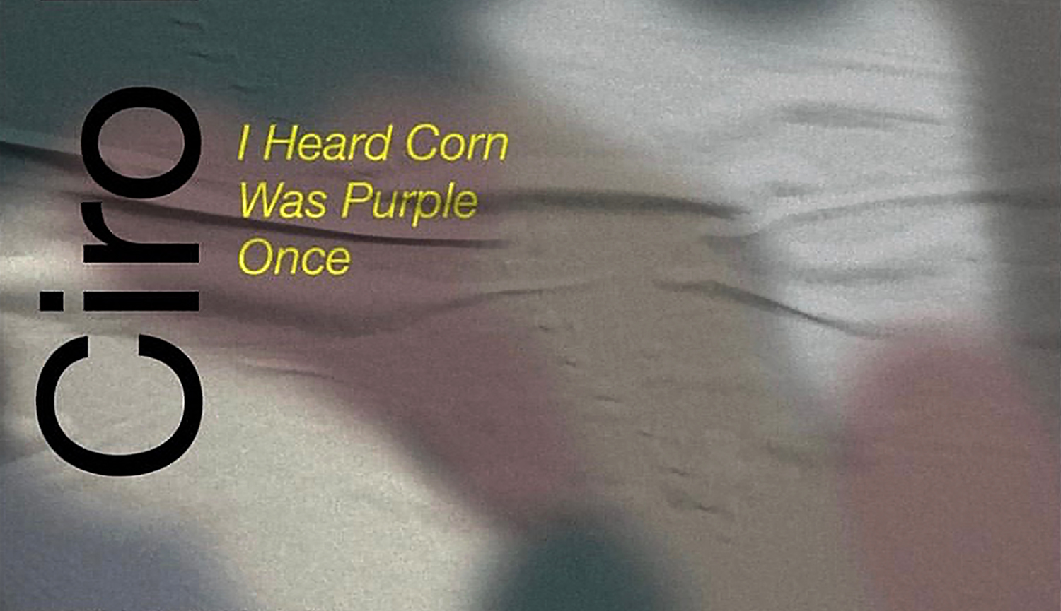 Ciro Duclos and his first solo exhibition ‘I Heard Corn Was Purple Once’